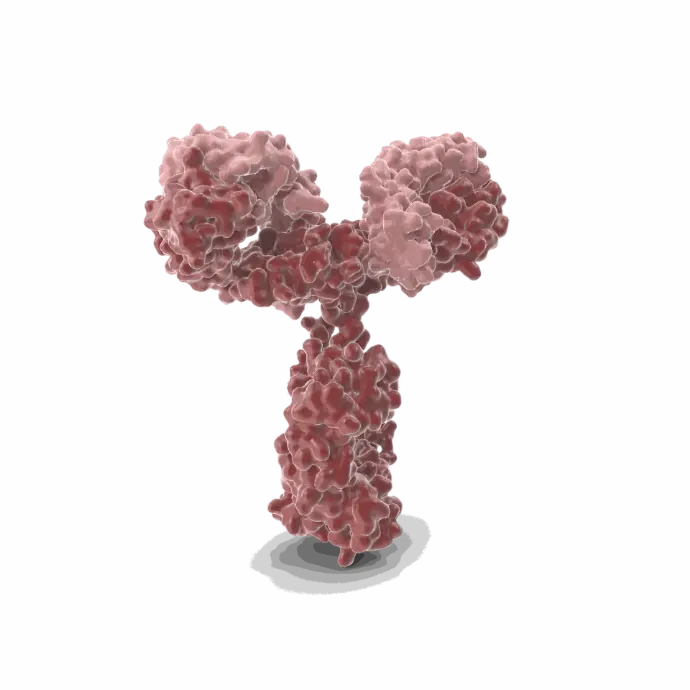 Gentaur Pacific Blue Monoclonal Antibody