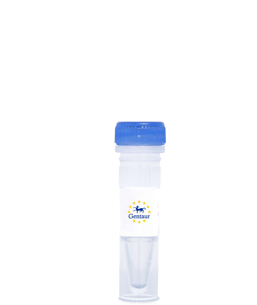 Cholera Toxin B, CF®647 Conjugate
